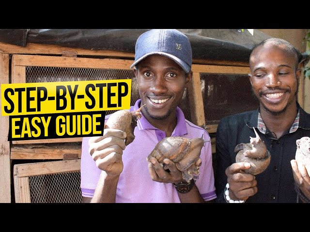 The 5 Ultimate Guides to Successful Snail Farming
